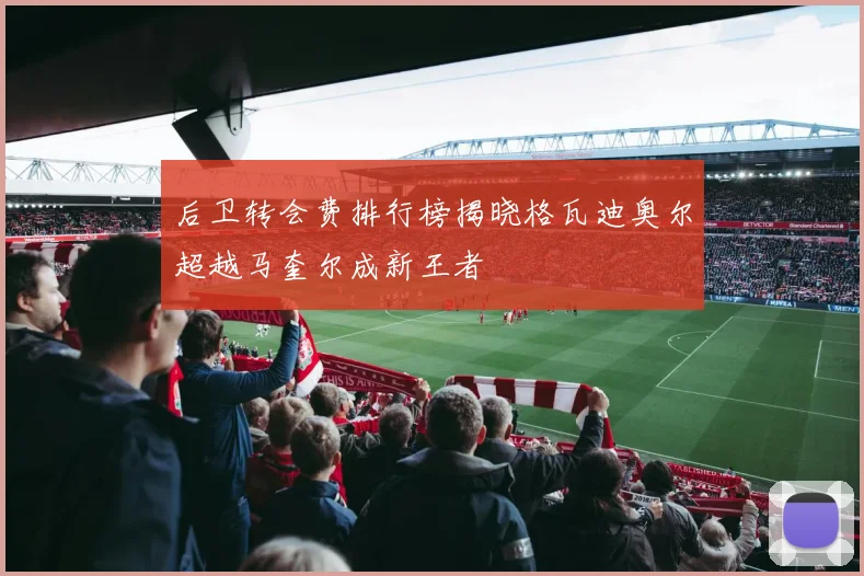后卫转会费排行榜揭晓格瓦迪奥尔超越马奎尔成新王者